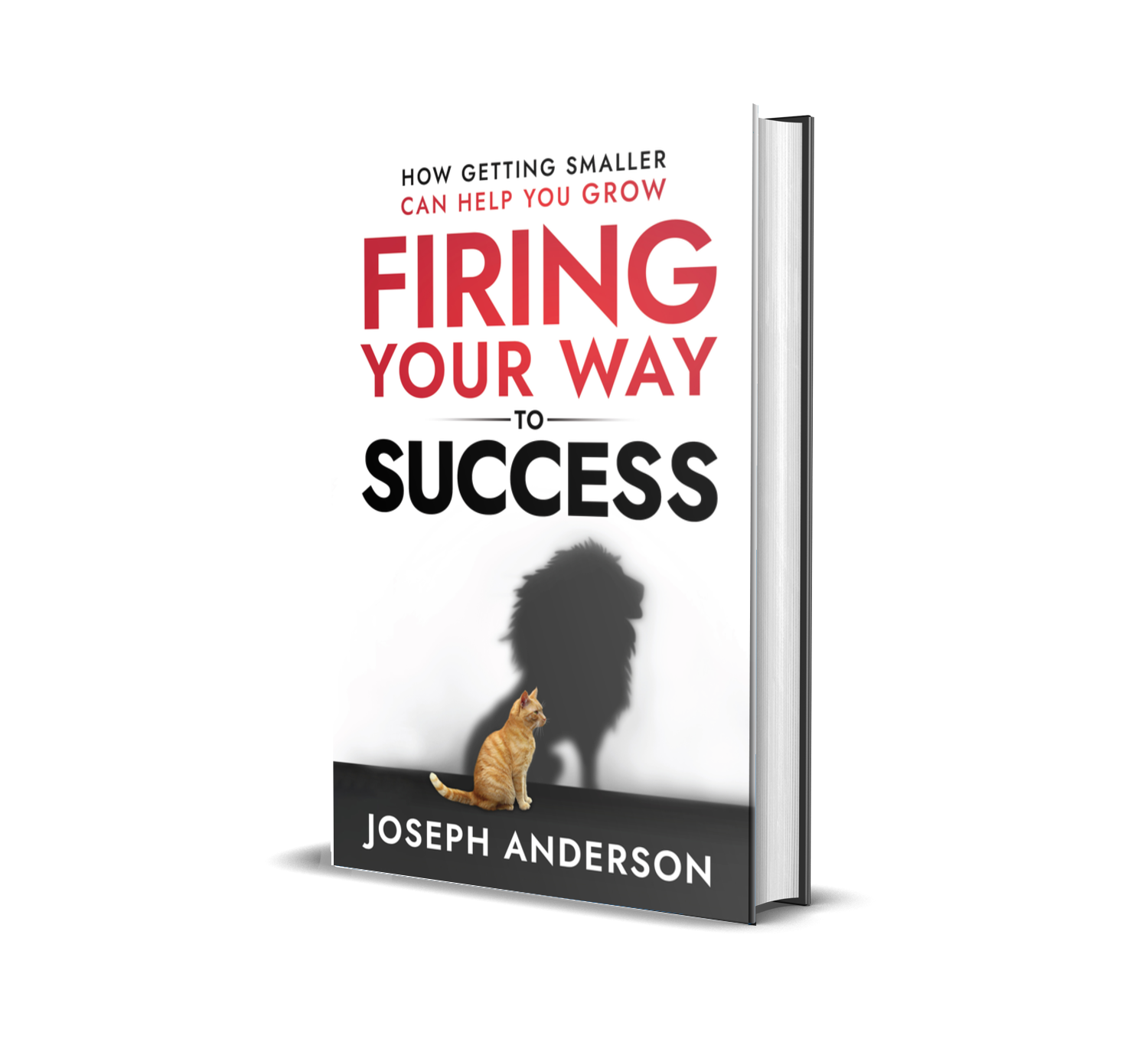 Firing Your Way to Success cover